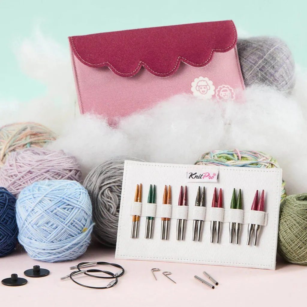 mini wooden knitting tips with wool and bordeaux case